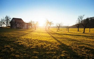 Why multi-asset allocation fund should be a part of your portfolio